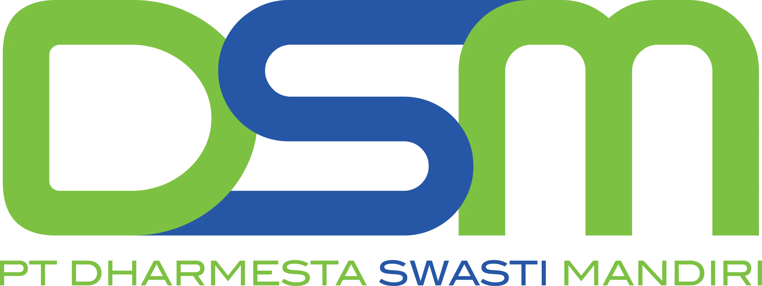 DSM Logo